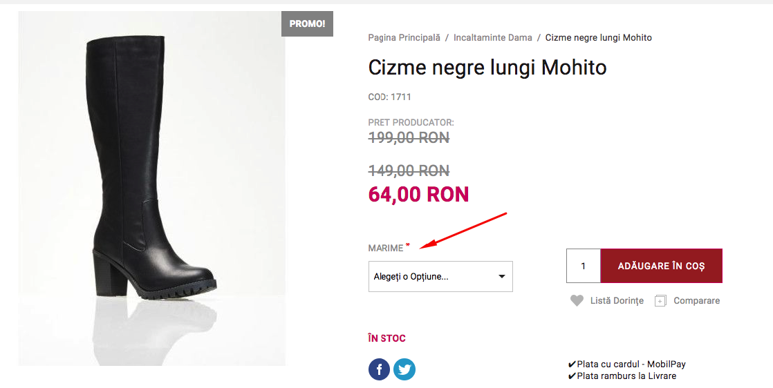 Modele de fisiere .CSV – captură de ecran 3