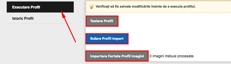Importare fișiere și/sau a feed-uri de produse – captură de ecran 16