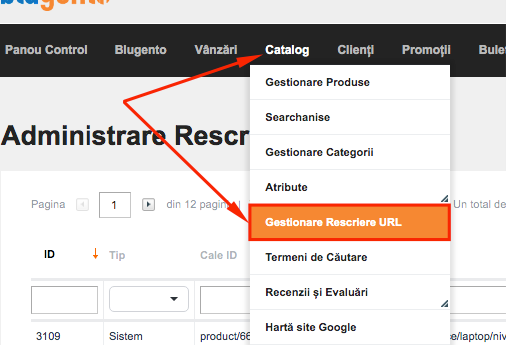 Gestionare rescriere URL-uri personalizate – captură de ecran 1
