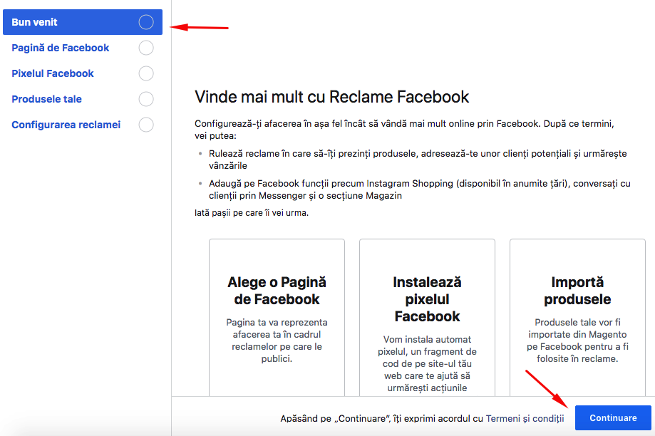 Configurare modul Facebook Ads – captură de ecran 3