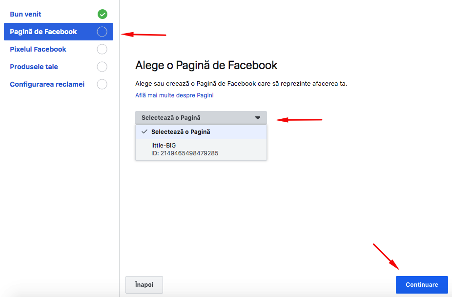 Configurare modul Facebook Ads – captură de ecran 4