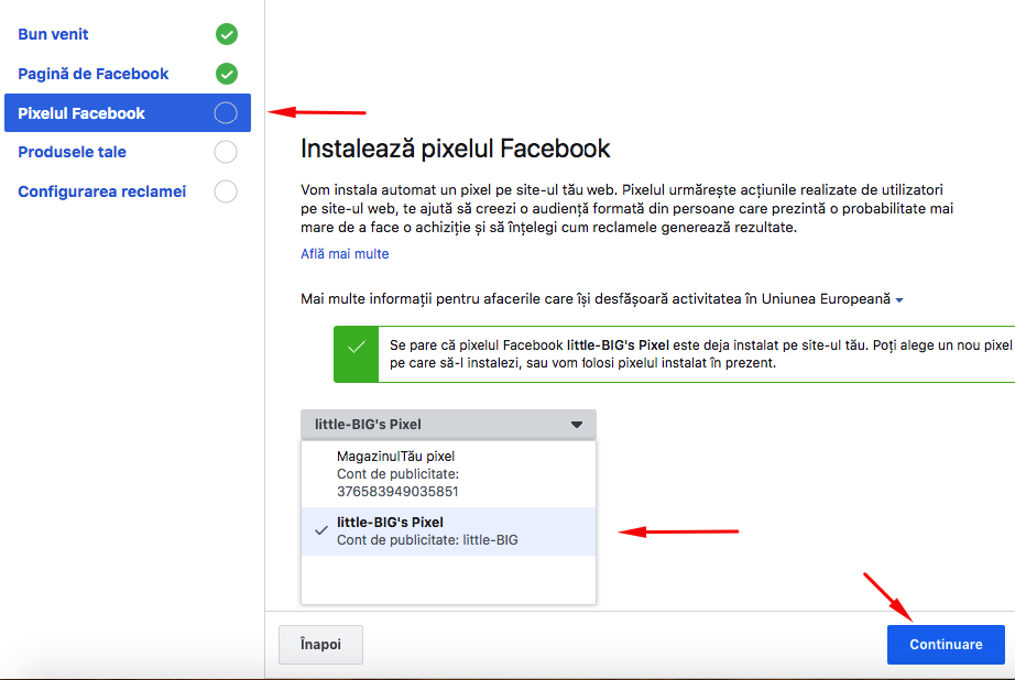 Configurare modul Facebook Ads – captură de ecran 5