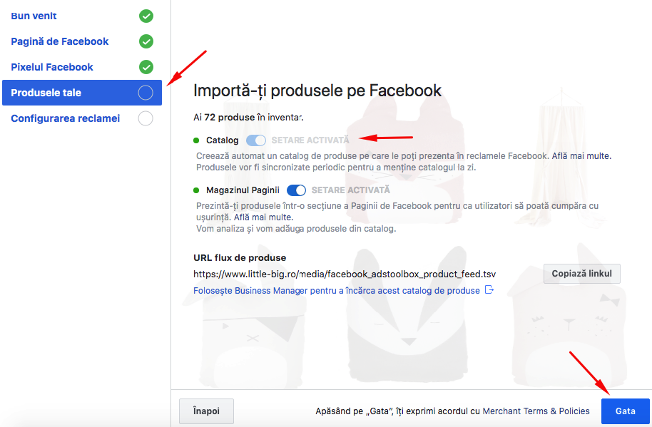 Configurare modul Facebook Ads – captură de ecran 6
