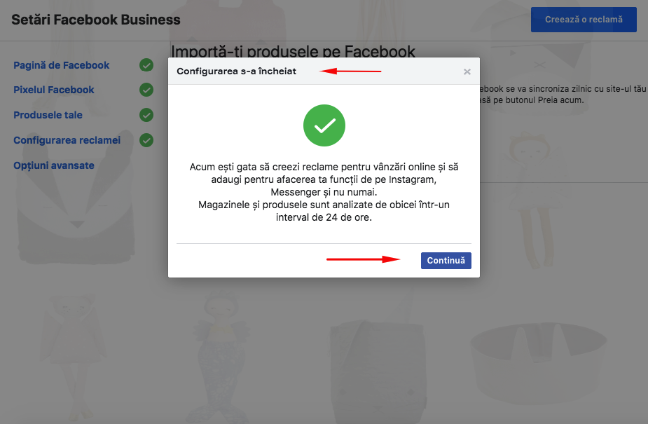 Configurare modul Facebook Ads – captură de ecran 7