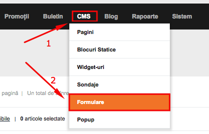 Creare Formular – captură de ecran 2