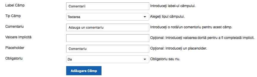 Creare Formular – captură de ecran 11
