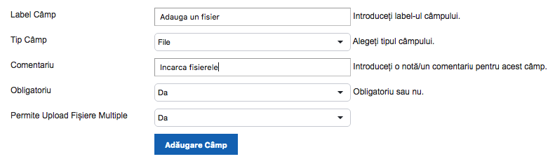 Creare Formular – captură de ecran 12