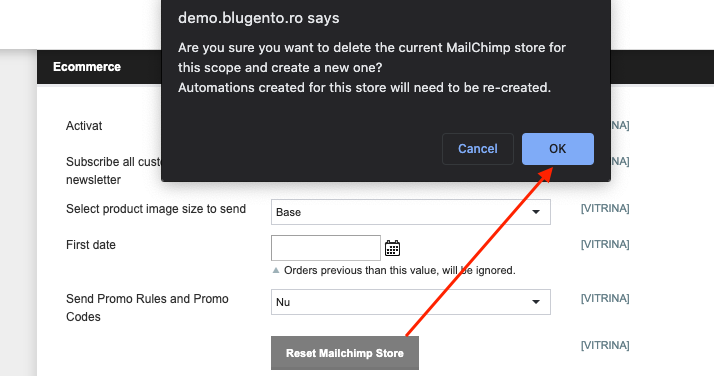 Integrarea modulului Mailchimp cu Blugento – captură de ecran 8