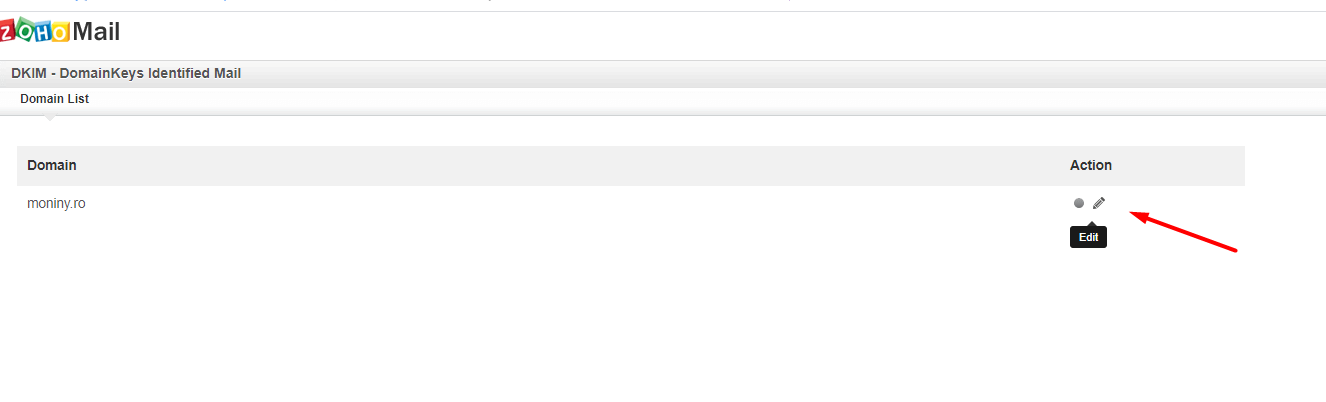 Configurarea serviciului de email Zoho – captură de ecran 8