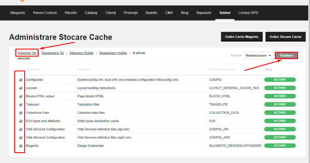 Administrare Indecsi si Cache – captură de ecran 2