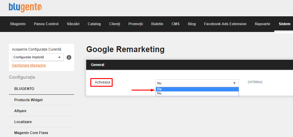 Configurare Google si Facebook Remarketing – captură de ecran 1