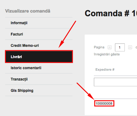 Generare AWB DHL – captură de ecran 4